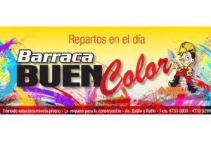 Barraca Buen Color 7 Barraca Buen Color
