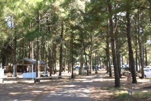 Camping San Gregorio de Polanco 6 Camping San Gregorio de Polanco