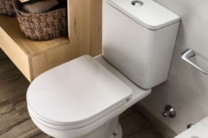 Sanitarios Primera Junta